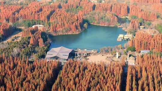 航拍上海东平国家森林公园湖景