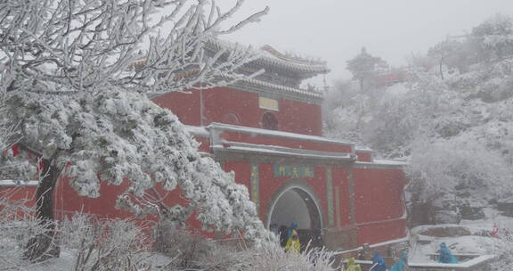 山东泰山风景区雪景下雪