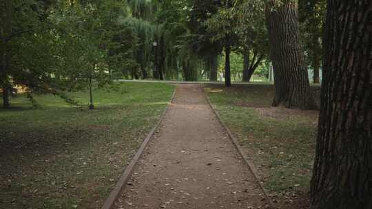 夏日背景城市公园