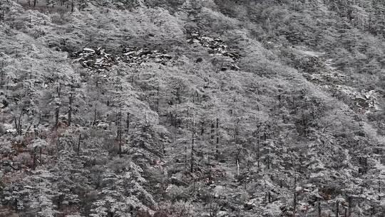 秦岭朱雀国家森林公园（冰晶顶）雪景航拍