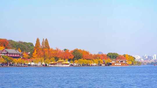 杭州西湖孤山路秋天风景