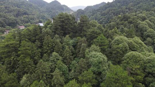 航拍湖南中坡山国家森林公园