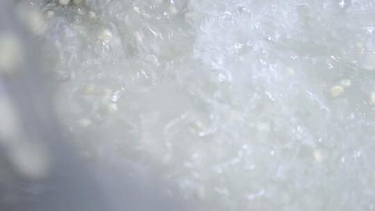 食品工厂玉米粒加工脱粒清洗冷冻鲜食玉米