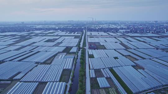 航拍大型农场田地自然风景视频素材模板下载