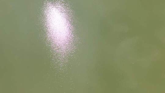 绿色背景下闪烁粒子效果