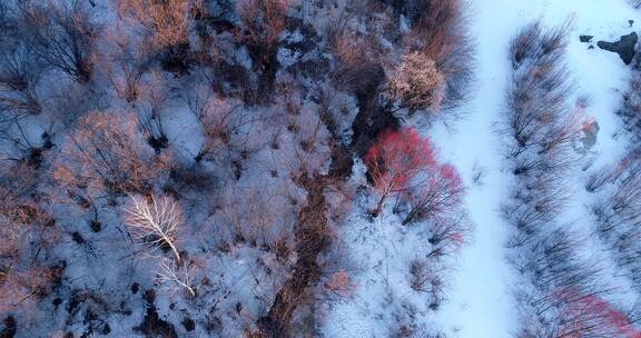 航拍大兴安岭早春雪原冰河红柳