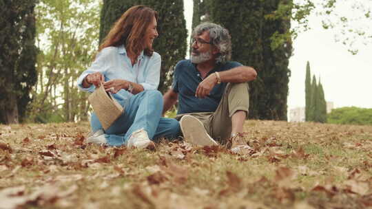 老年夫妇坐在公园的草地上聊天