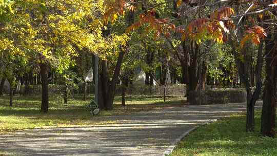 秋天午后安静的公园小路