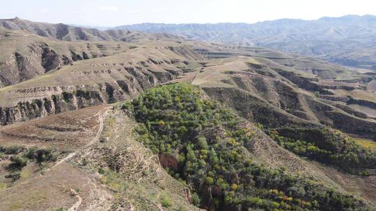 陕北黄土高原山坡丘陵视频素材模板下载