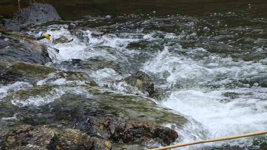 大山里的泉水河流清澈生态水花素材