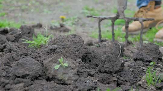 种植者正在用干草叉勤奋地翻土，为种植做准