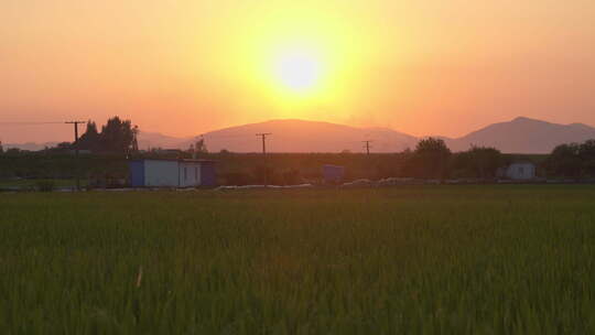 农村傍晚黄昏夕阳下的田野