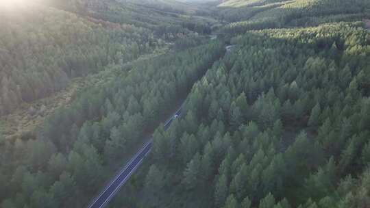 森林公路  航拍开车 航拍 山林驾驶汽车 4k