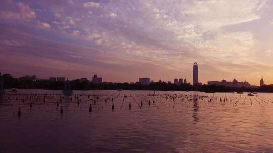 大明湖日落