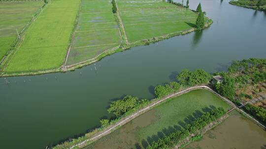 生机勃勃的田园自然风景