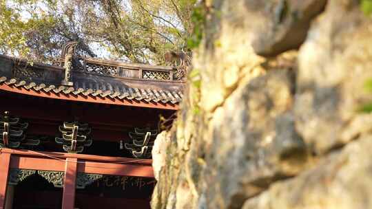 绍兴新昌大佛寺