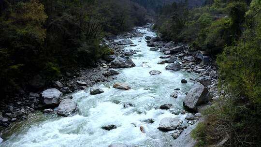 山间清澈的河流