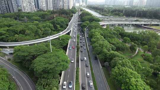 深圳人才公园-沙河西路城市车流