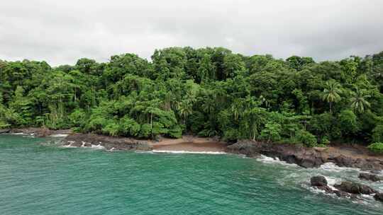 哥斯达黎加热带海滩，热带雨林海岸线上有棕榈树。