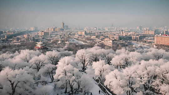 北京冬天雪景