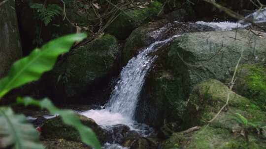 山间自然流水山泉水