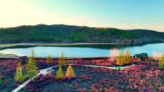 宁静湖畔森林花海美景