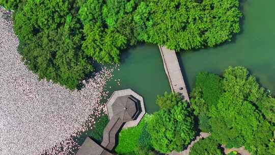 中国杭州西湖风景名胜区茅家埠