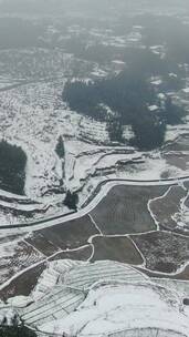 农业种植农田冬天雪景竖屏航拍