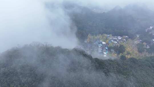 中国广西壮族自治区桂林市灵川县海洋乡银杏