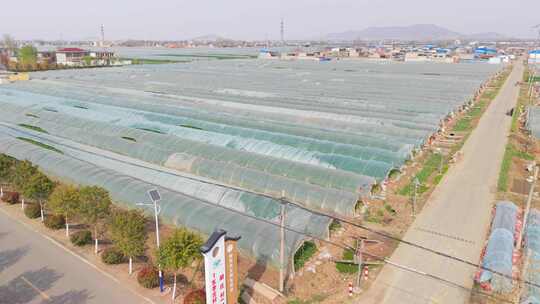 乡村蔬菜大棚航拍 航拍蔬菜大棚基地