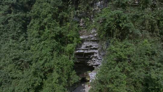 高清航拍四川乐山四溪沟森林唯美自然风光