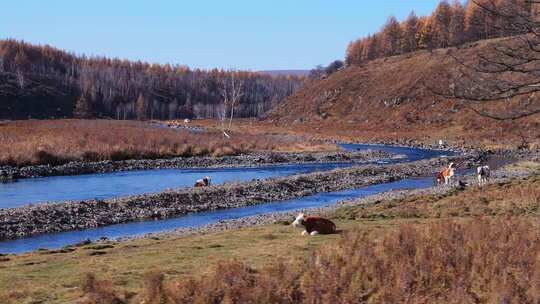 内蒙古阿尔山不冻河航拍