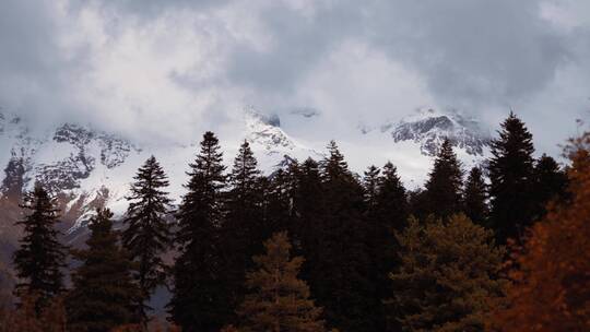 树林雪山景观