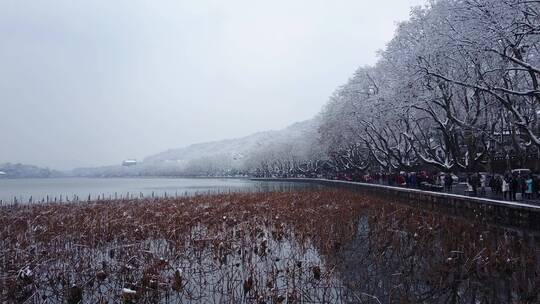 断桥 北山路 保俶塔 雪景 航拍 2