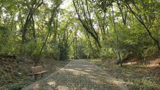 南京钟山灵谷景区