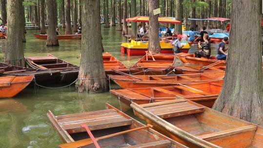 湖面上拥挤的小舟《水上森林》