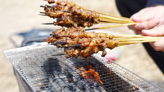 郊游露营烧烤的大把羊肉串