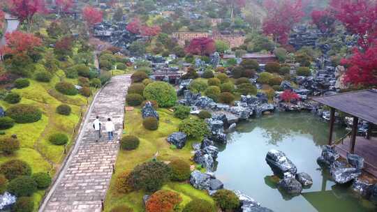 山川竹林美景枫叶树