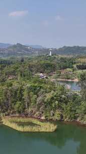 四川达州莲花湖湿地公园竖版航拍