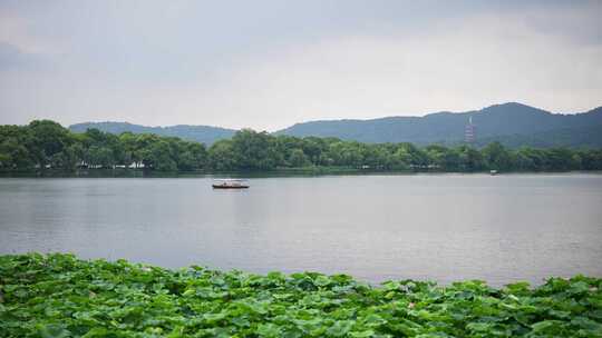 夏天杭州西湖景区