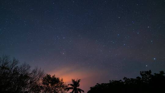 夜晚森林上空斗转星移