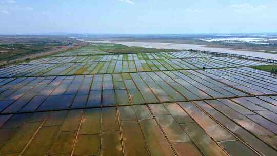 黄河平原水稻稻田河道河滩