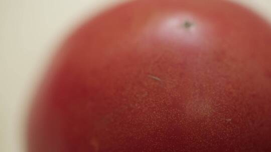 番茄西红柿 (8)