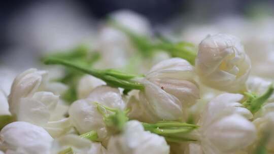 升格慢动作微距特写茉莉花与茉莉花茶制作