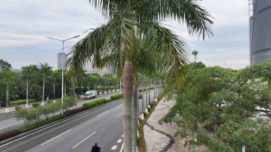 珠海横琴琴海东路航拍视频素材模板下载