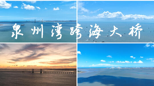 泉州湾跨海大桥延时【合集】泉州湾大桥风景高清在线视频素材下载