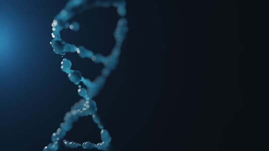 螺旋 DNA 基因