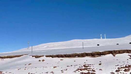 西藏沿途雪山