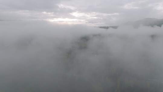 航拍新疆阿勒泰禾木村的秋雾