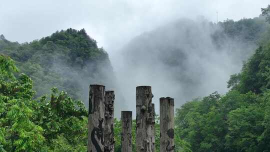 神农架神秘原始森林大山深处视频素材模板下载